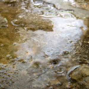 Snow Melts By Day