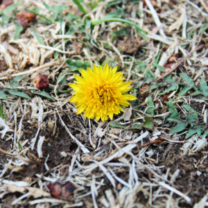 Getting Ready For Spring!